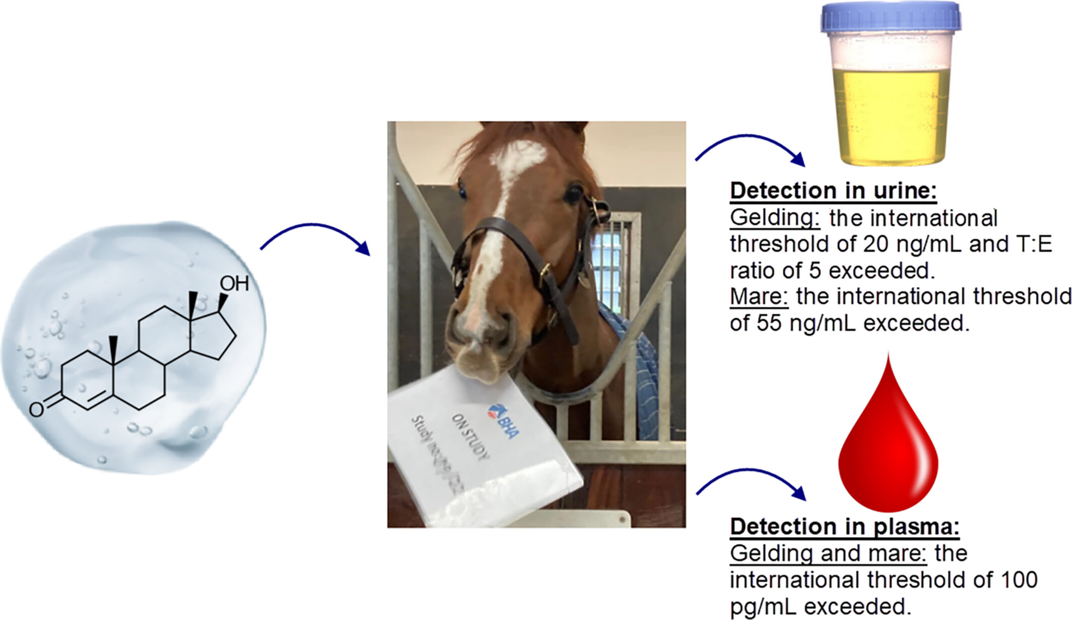 Detection of Transdermal Application of Testosterone to Racehorses by Analysis of Urine and Plasma Issue ,